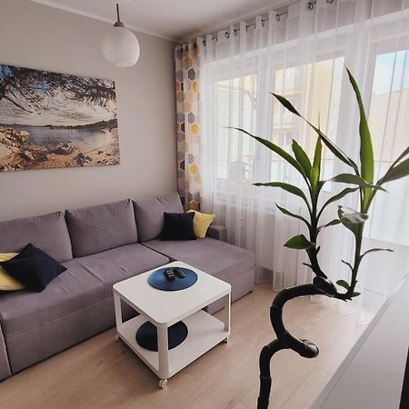 Apartament Miodowy Dom 코워브제크 외부 사진