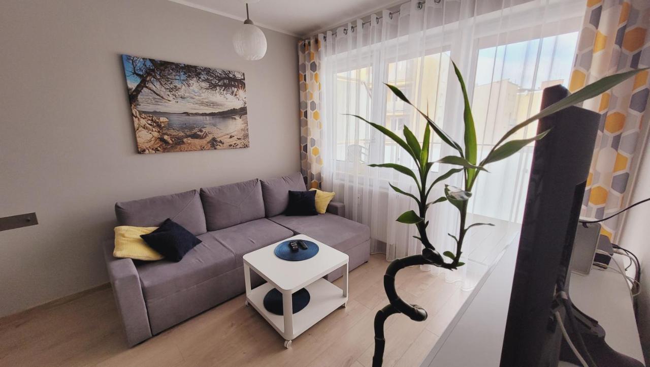 Apartament Miodowy Dom 코워브제크 외부 사진